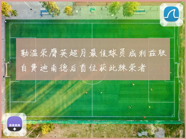 勒温荣膺英超月最佳球员成利兹联自费迪南德后首位获此殊荣者